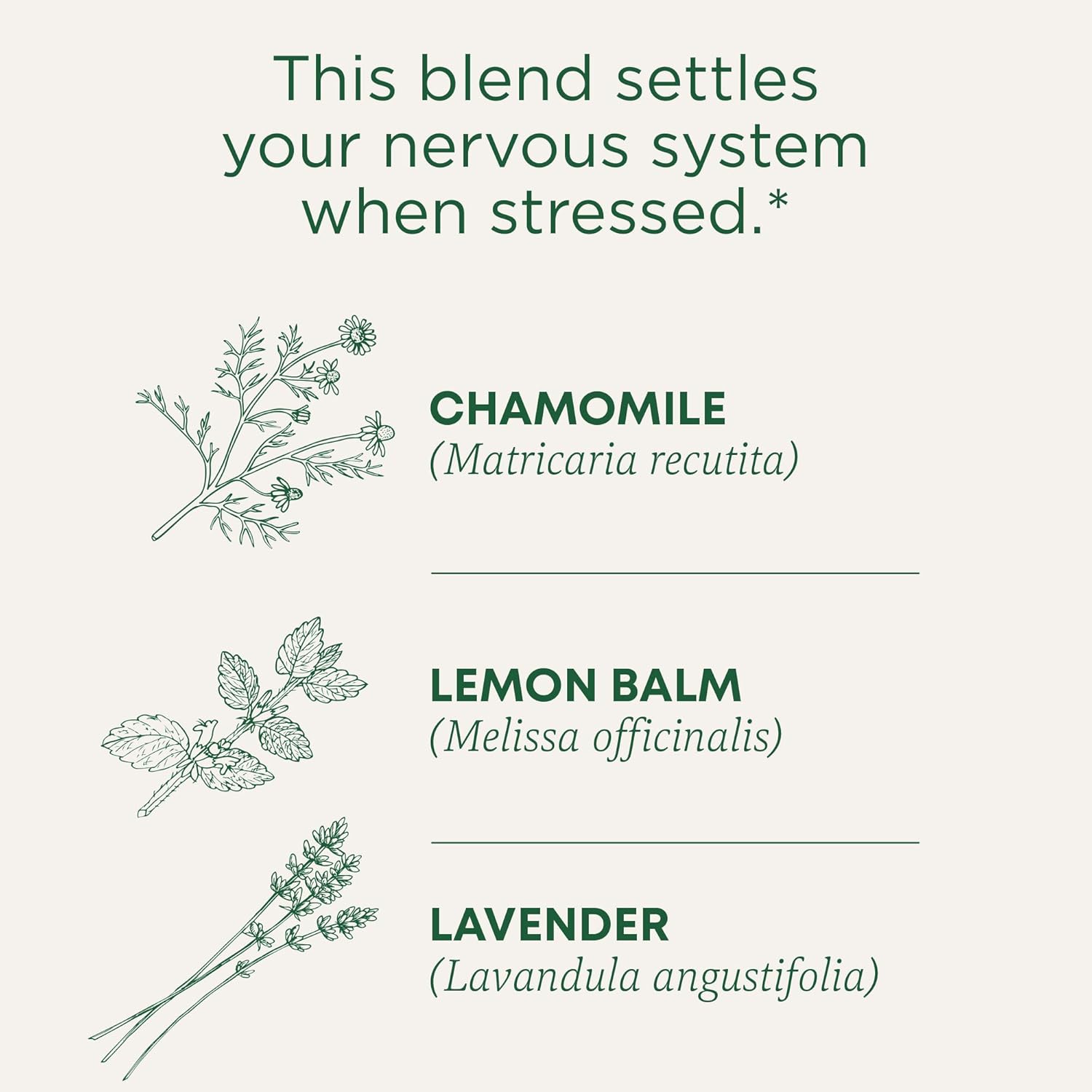 Traditional Medicinals Chamomile Lavender - изображение 4